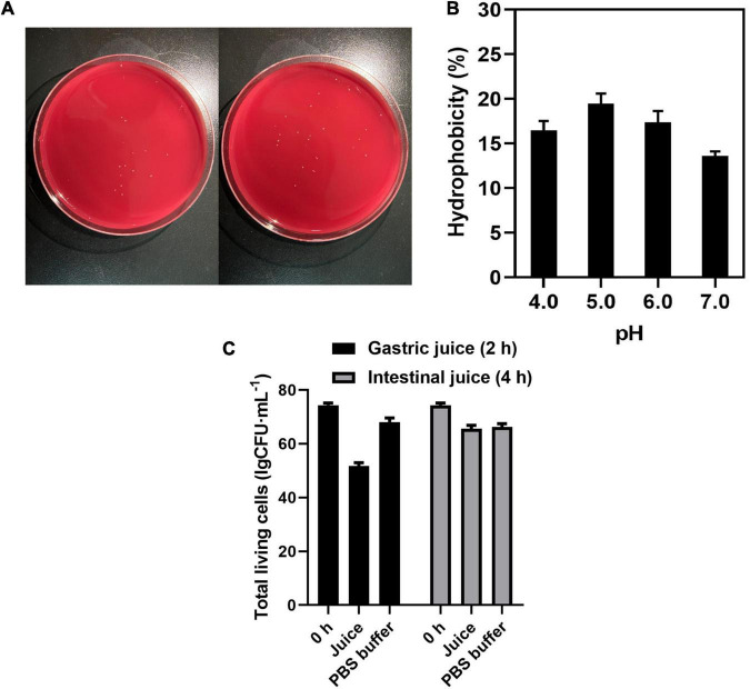 FIGURE 2