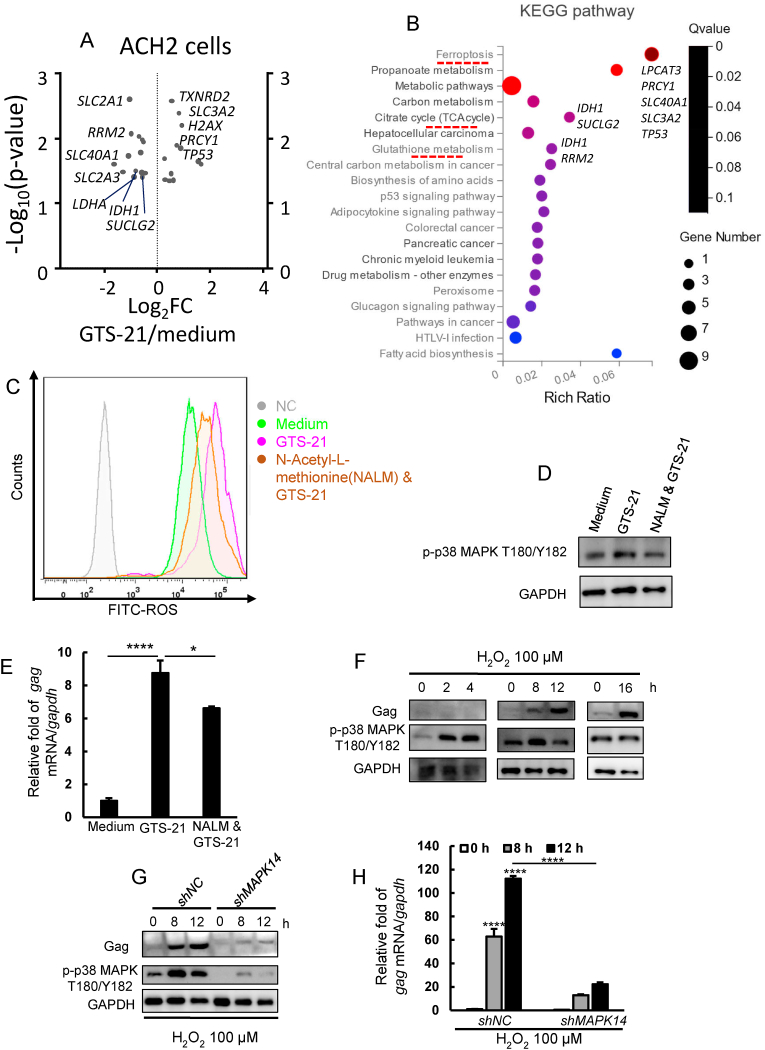 Fig. 3