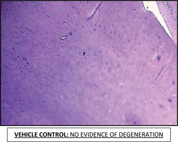 Fig. 7: