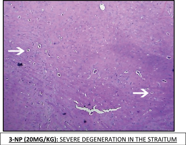 Fig. 7: