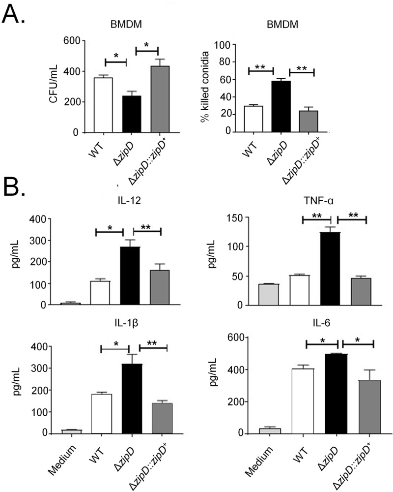 Fig 8