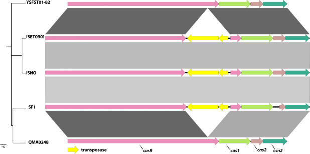 Fig. 3.