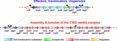 FIG. 4.