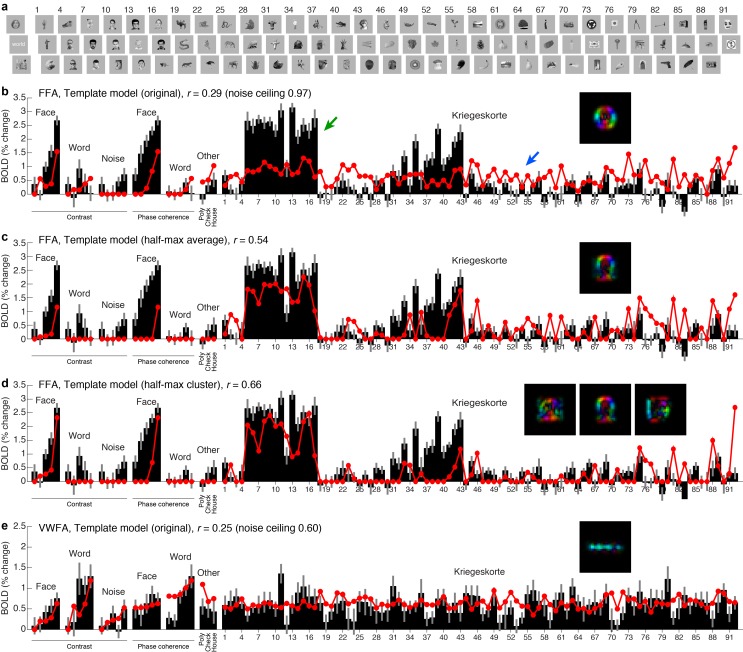 Figure 2—figure supplement 1.