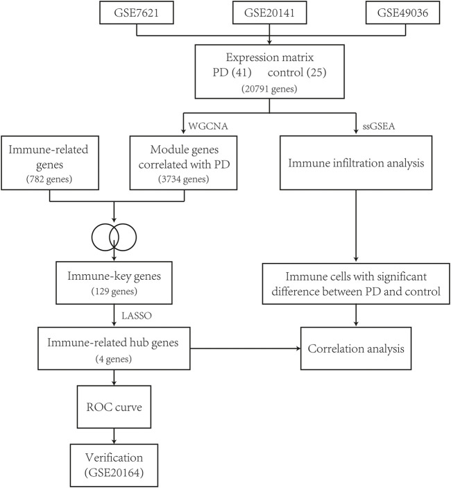 FIGURE 1