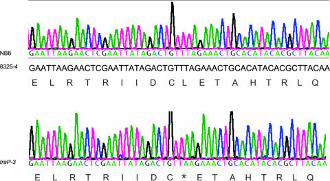 FIG. 6.