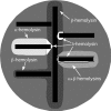 FIG. 1.