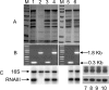 FIG. 4.