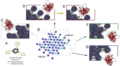 Fig. 3.