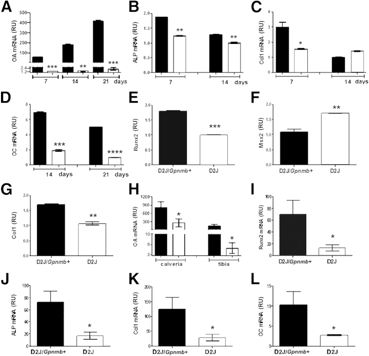 Figure 6