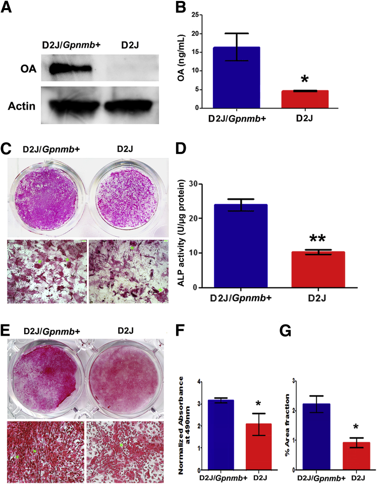 Figure 4