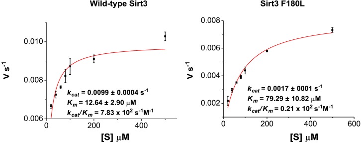 Figure 4—figure supplement 1.