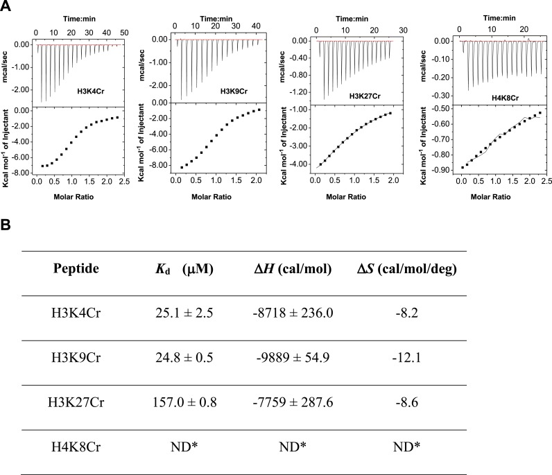 Figure 4—figure supplement 4.