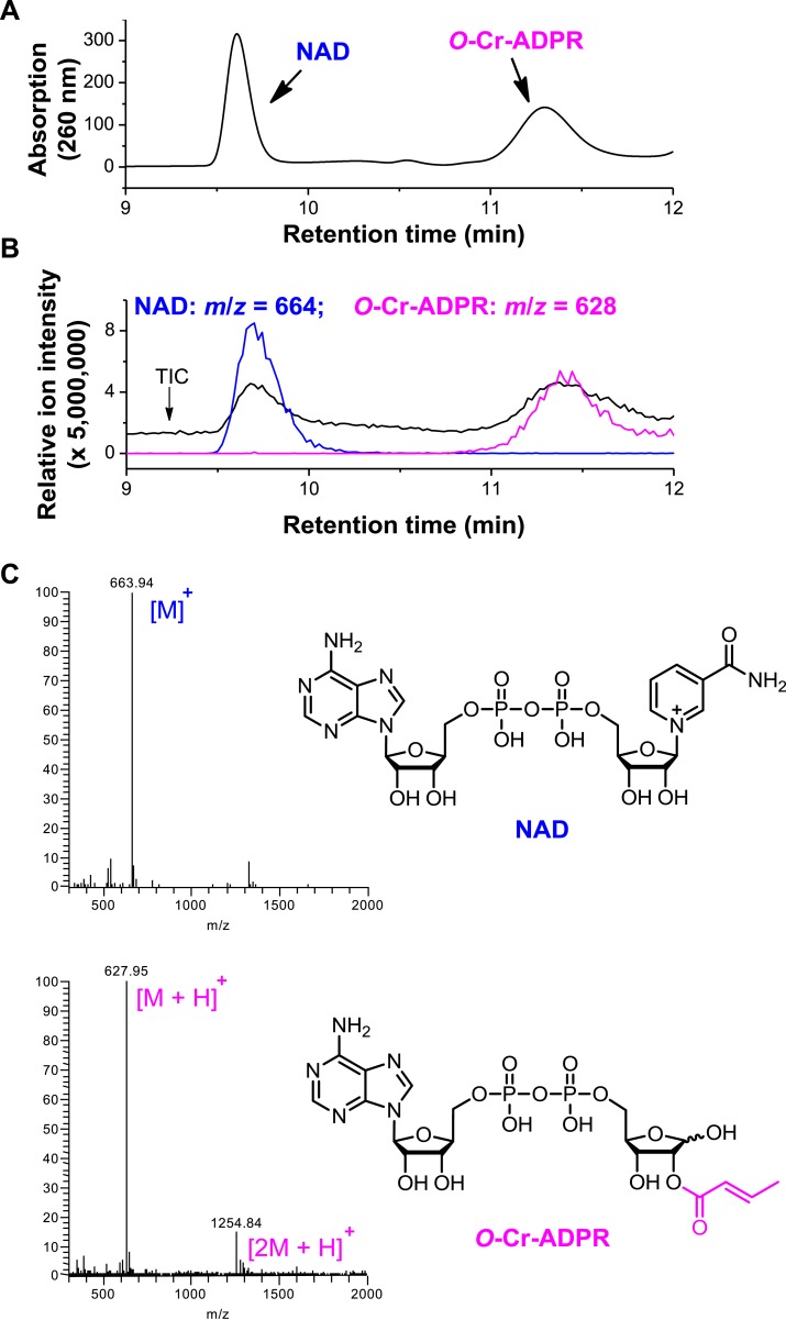 Figure 4—figure supplement 2.