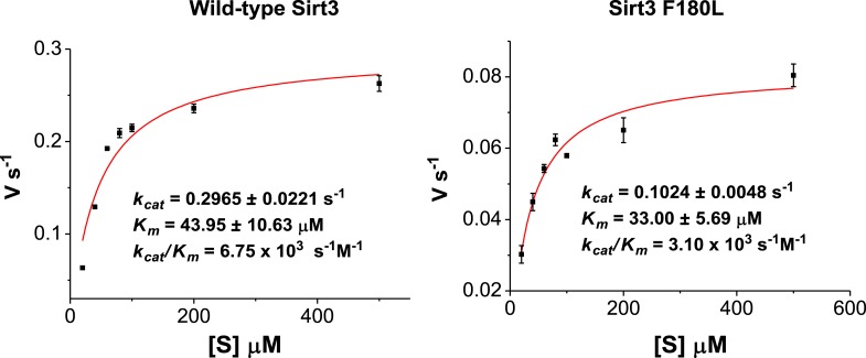 Figure 4—figure supplement 6.