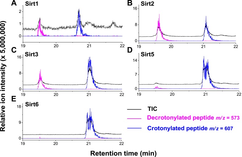 Figure 4—figure supplement 5.