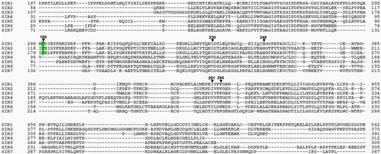 Figure 3—figure supplement 2.