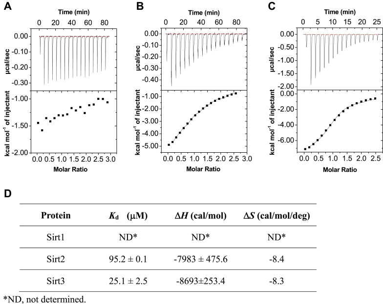 Figure 2—figure supplement 2.