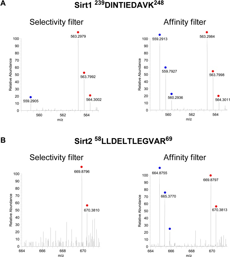 Figure 2—figure supplement 1.