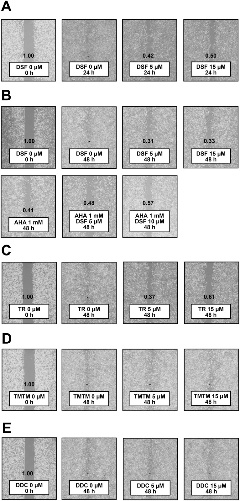 Figure 5