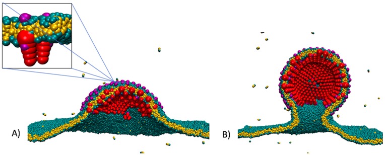 Fig 2