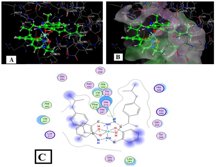 Figure 12