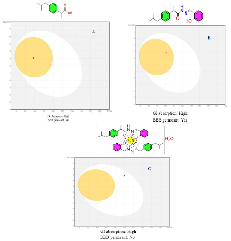 Figure 13