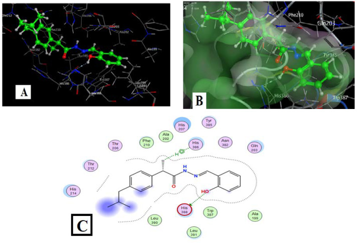 Figure 11