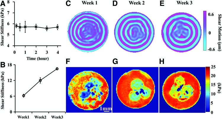 FIG. 4.