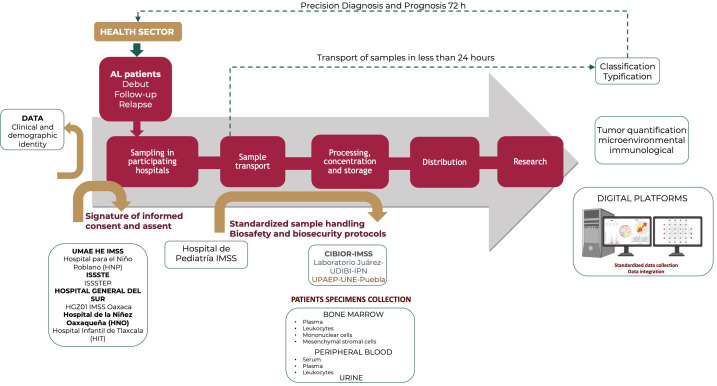 Figure 1