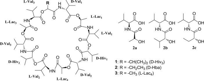 Fig. 1