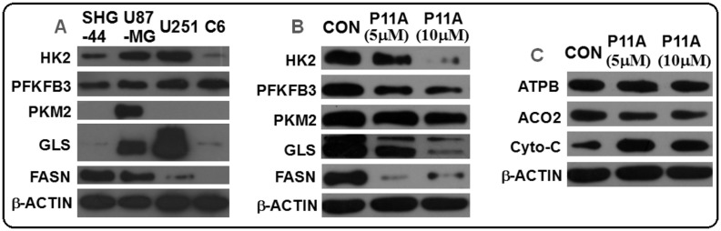 Fig. 6