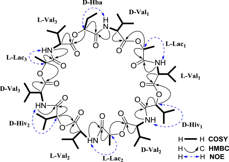 Fig. 2