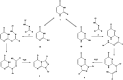 Scheme 3