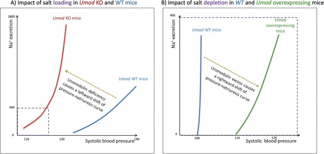 Figure 4: