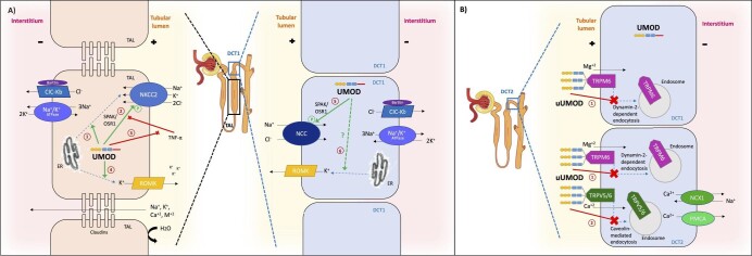 Figure 3: