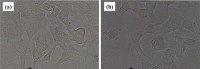 Fig. 6