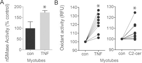 Fig. 7