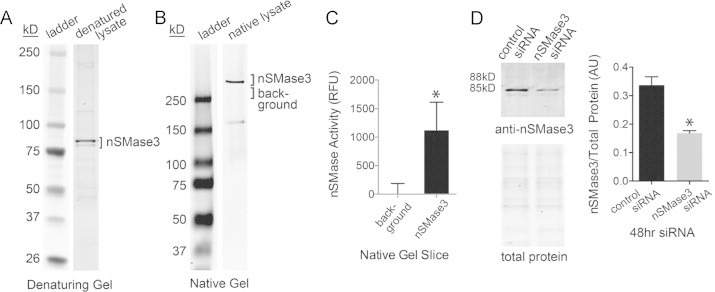 Fig. 3