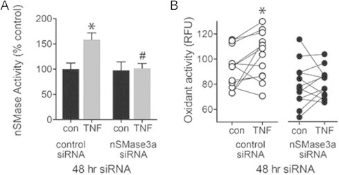 Fig. 9