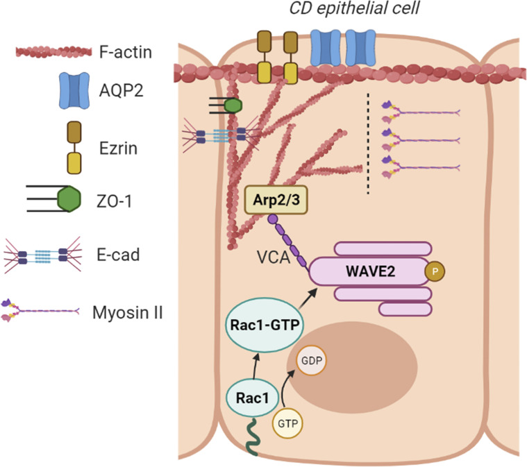 Figure 10.