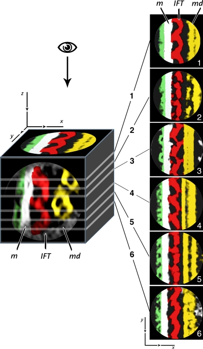 Figure 6.