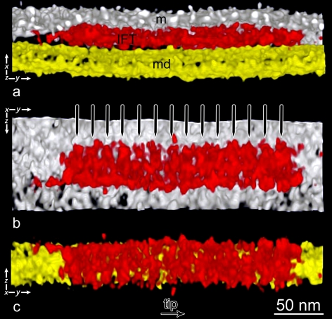 Figure 10.