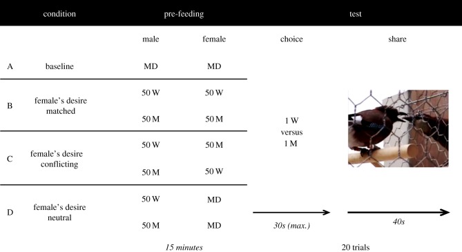 Figure 1.