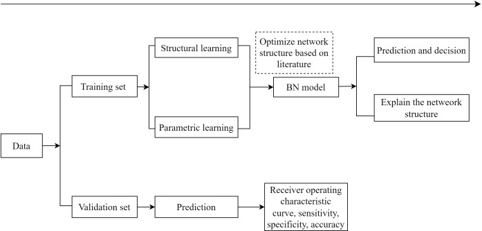 Figure 1