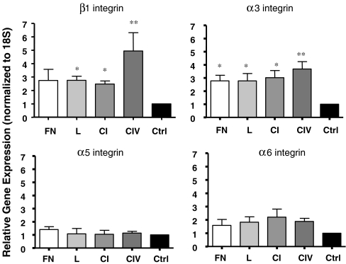 Fig. 7