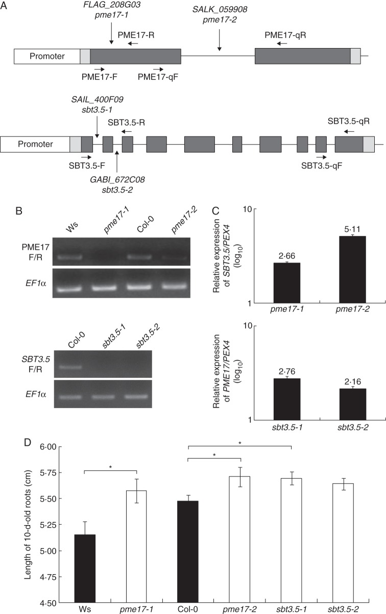 Fig. 4.