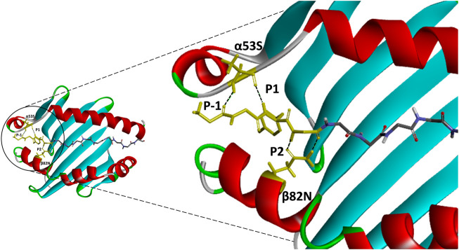 FIGURE 3