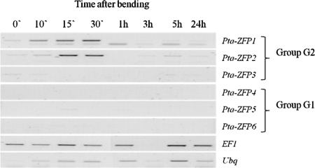 Figure 4.