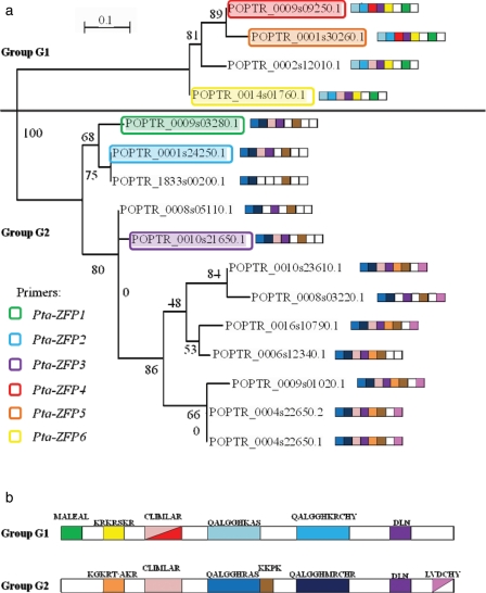 Figure 2.